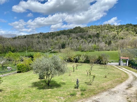 Garden, Garden view