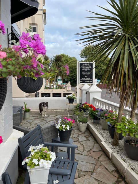 Cherwood Guest House | Paignton | VacationRenter