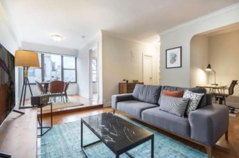 Warm and Comfortable 3 BR Copropriété in Midtown