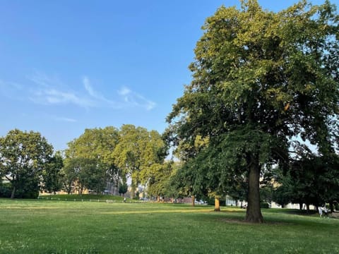 Natural landscape, Garden view