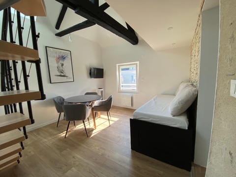 La Douce Angevine - Le Perroquet Apartment in Angers