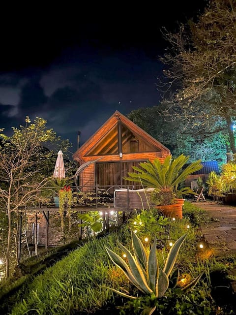 Night, Garden, Garden view