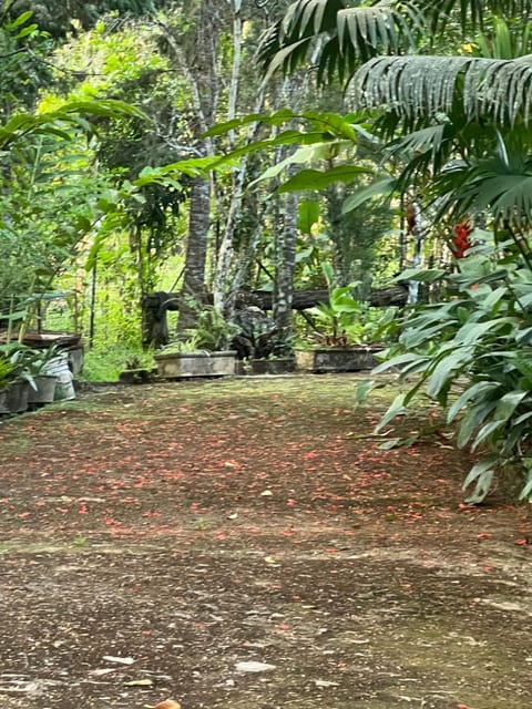 Mansão na Serra de Guaramiranga Villa in State of Ceará