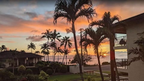 BEACH SIDE Condo at Lawai Beach Resort - POOLS + HOT TUBS Apartment in Poipu