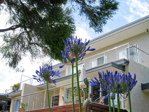 Top Deck Apartment House in Portsea