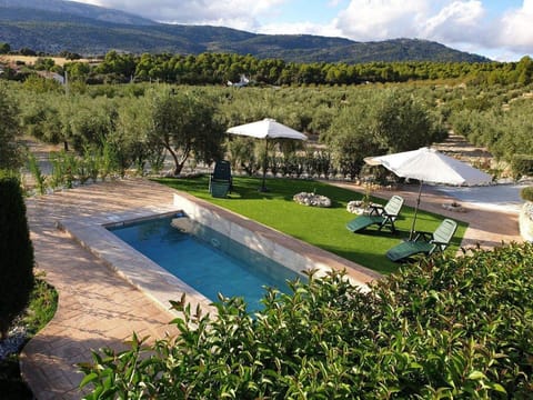 Spring, Day, Natural landscape, Garden, Garden view, Mountain view, Pool view, Swimming pool, Swimming pool, sunbed