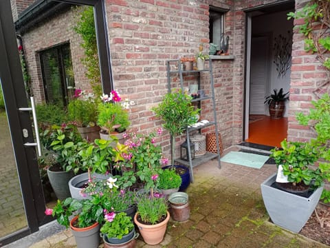Efes home Vacation rental in Ghent