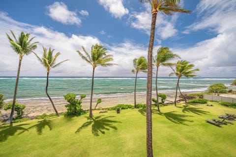 1BR Condo at Oceanfront Resort Kapaa Shore Casa in Kapaa