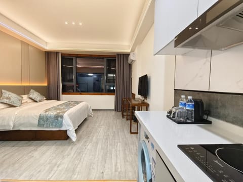 Bed, TV and multimedia, Kitchen or kitchenette, Photo of the whole room, Bedroom, oven, stove