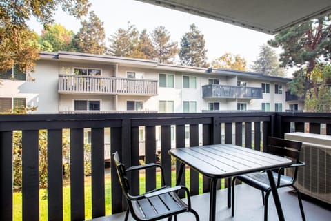 Sunnyvale 1BR w Gym Pool Courts nr Tech HQs SFO-367 Apartment in Sunnyvale