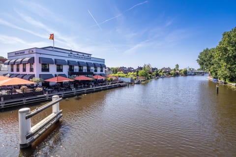 Bird's eye view, River view