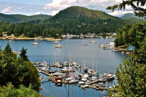 Madeira Park Oceanview Suites Chambre d’hôte in Vancouver Island