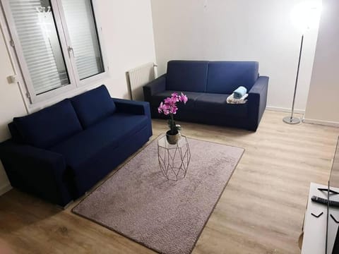 Logement entier chambre+salon + jardin & terrasse Apartment in Île-de-France