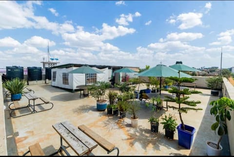 Property building, Day, Garden, Garden view, sunbed