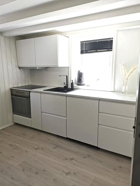 Kitchen or kitchenette, dishwasher, minibar, pet friendly, stove