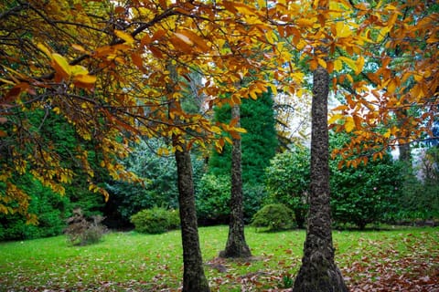 Amaroo Guesthouse Maison in Mount Wilson