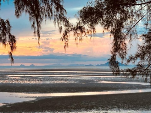 Natural landscape, Sea view, Sunset