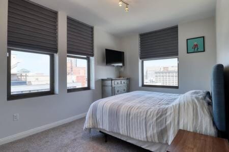 Luxury Condo Top Floor 3 King Beds Apartment in Lincoln