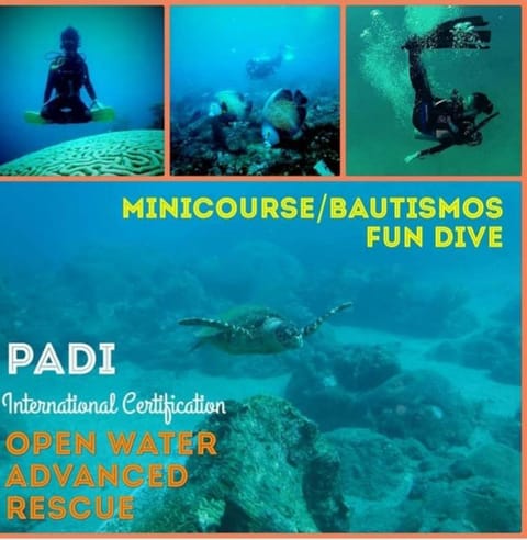 Natural landscape, Activities, Diving, Diving