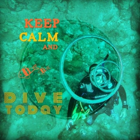 Activities, Diving, Diving