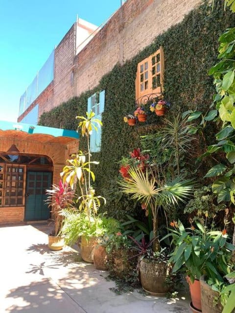 Casa Jardin Casa in Lo de Marcos