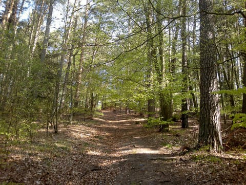 Holiday Home Smołdziński Las by Interhome House in Pomeranian Voivodeship
