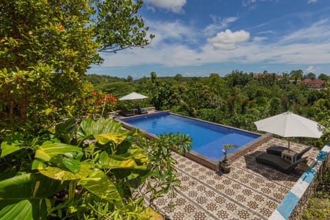 Spring, Day, Garden, Garden view, Pool view, Swimming pool, sunbed