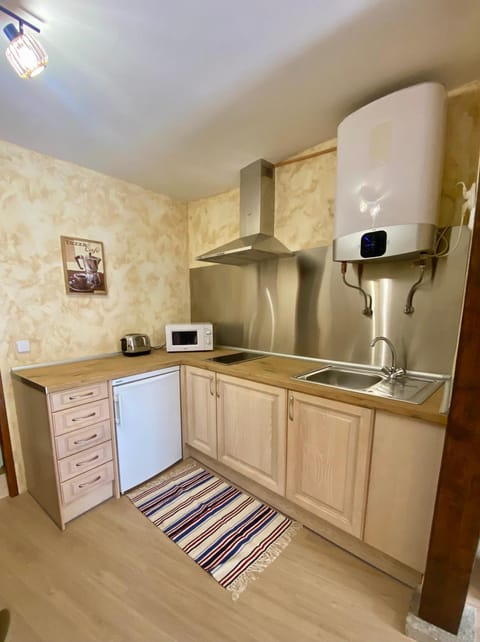 Kitchen or kitchenette, minibar, stove