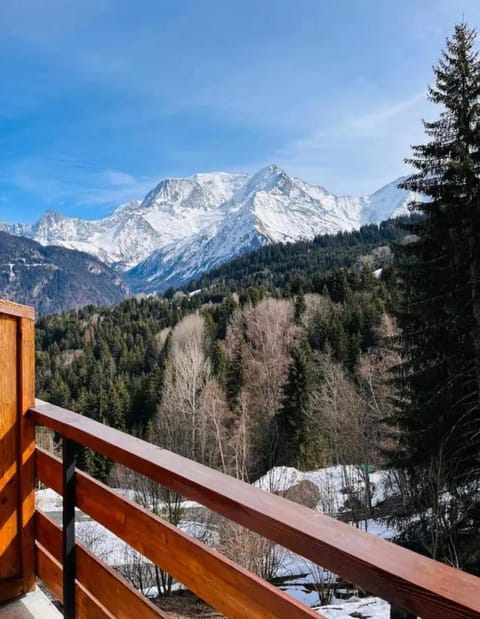 Appartement montagnard avec vue sur le Mont-Blanc Condo in Saint-Gervais-Bains