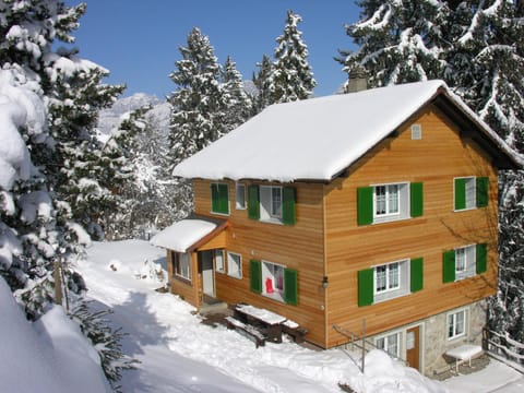 Property building, Winter