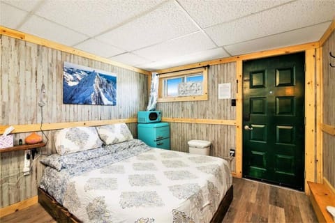 11 Renovated Cozy Room Dog Friendly Leadville Condo in Leadville