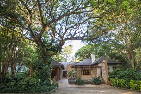 Property building, Garden, Garden view