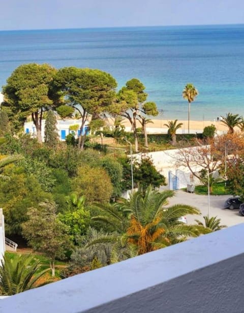 Turquoise view la marsa Apartment in Tunis Governorate, Tunisia