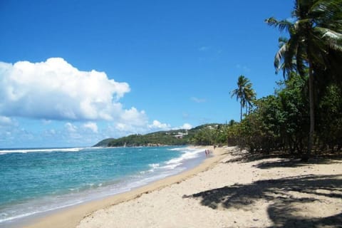 Le Grand Bleu - Résidence de la Baie - Tartane Condo in La Trinité