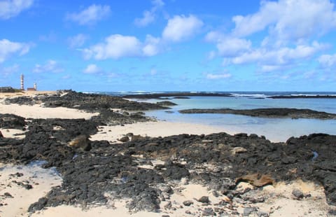 Natural landscape, Beach