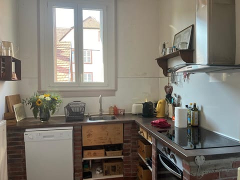 GITE AU COEUR DU VIGNOBLE ALSACIEN Apartment in Ribeauvillé