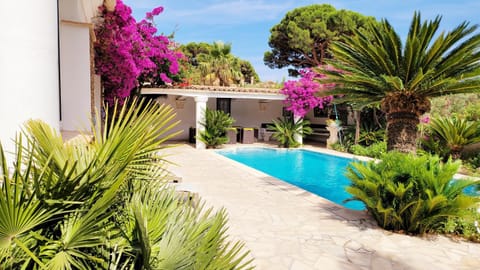 Garden, Pool view, Swimming pool, sunbed