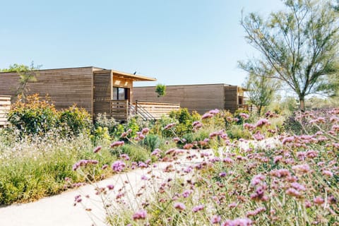 Property building, Spring, Day, Garden