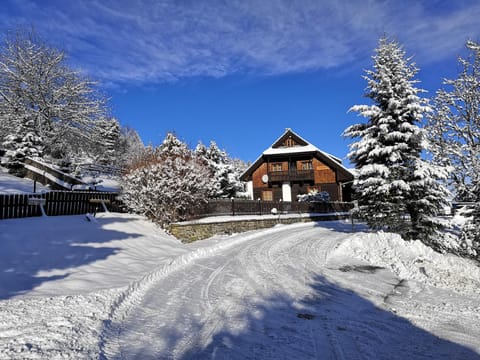 Penzion U Horejšů, Zadov - Churáňov Bed and Breakfast in South Bohemian Region