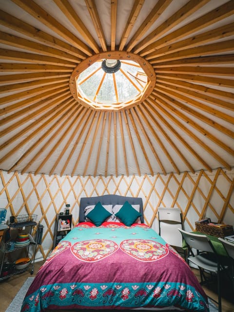 Shearwater Cove Luxury tent in Seward