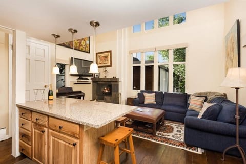Fifth Avenue Unit 205 Spacious 1 BR + Loft with Air Conditioning. Close to Ski Slopes! House in Aspen