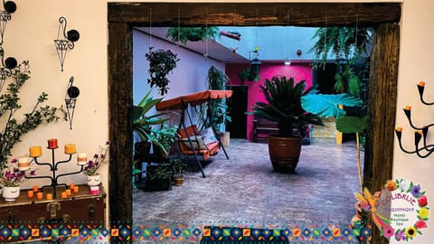 #1-Rooftop Garden-7 Bedrooms-9 Beds-3 Kitchens Hotel in Tlaquepaque