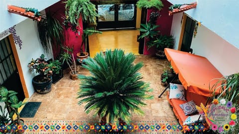 #1-Rooftop Garden-7 Bedrooms-9 Beds-3 Kitchens Hotel in Tlaquepaque