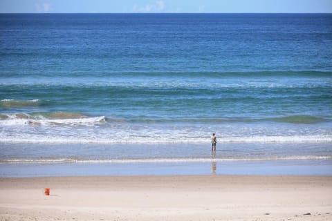 Pacific Dawn on the Beach One Maison in Wooli