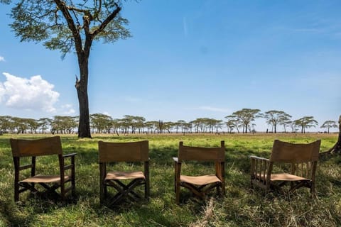 Olmara Camp Tienda de lujo in Kenya