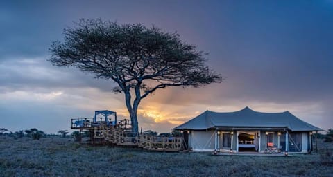 Olmara Camp Luxury tent in Kenya