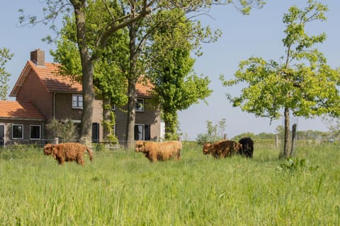 Property building, Natural landscape, Garden, Garden view