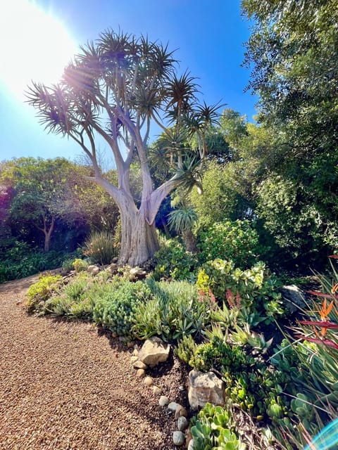 Garden view