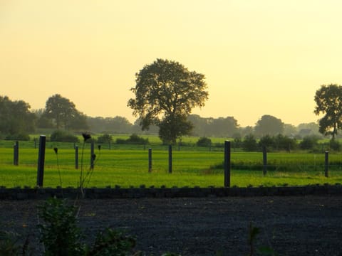 Natural landscape, Garden view