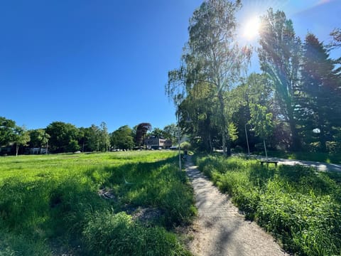 Spring, Day, Natural landscape, Garden, Garden view